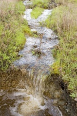 Enlarge photo 58