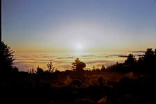 Enlarge photo 43