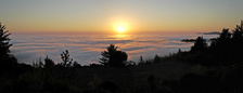 Enlarge photo 40