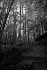 Enlarge photo 74