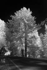 Enlarge photo 66