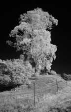 Enlarge photo 128