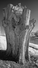 Enlarge photo 125