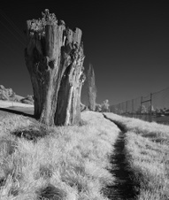 Enlarge photo 126