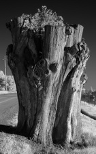 Enlarge photo 127