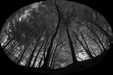 Enlarge photo 136