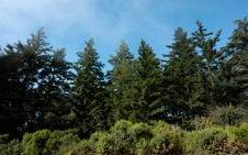 Enlarge photo 63