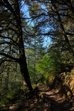 Enlarge photo 68