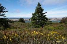 Enlarge photo 62