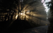 Enlarge photo 134