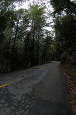 Enlarge photo 135