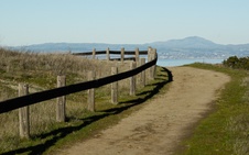 Enlarge photo 119