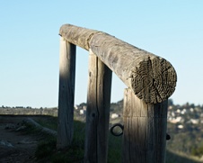 Enlarge photo 120