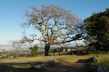 Enlarge photo 121