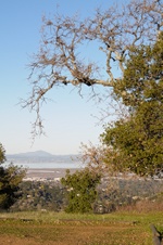 Enlarge photo 123