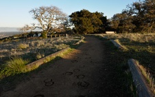 Enlarge photo 124