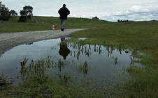 Enlarge photo 130