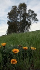 Enlarge photo 131