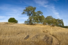 Enlarge photo 156
