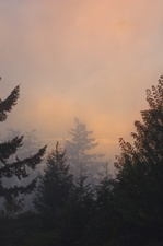 Enlarge photo 39