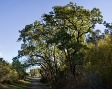 Enlarge photo 157