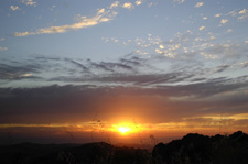 Enlarge photo 42