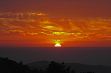 Enlarge photo 45