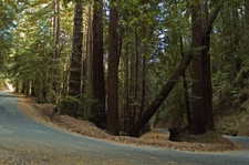 Enlarge photo 29