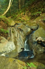 Enlarge photo 51
