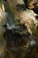 Enlarge photo 49