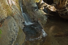 Enlarge photo 50
