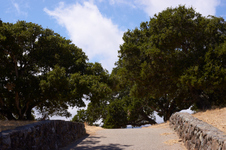 Enlarge photo 161
