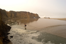 Enlarge photo 25