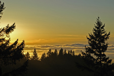 Enlarge photo 41