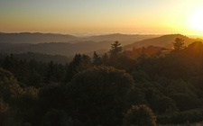 Enlarge photo 47