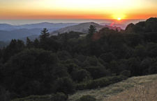 Enlarge photo 46