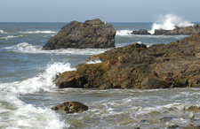 Enlarge photo 15