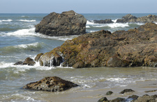 Enlarge photo 16