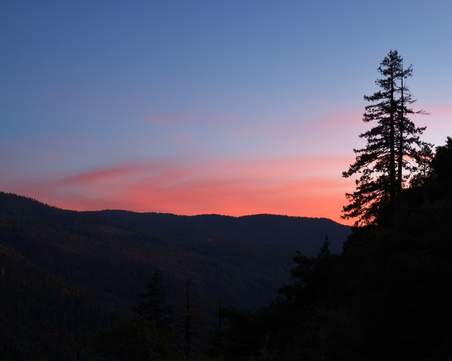 Enlarge photo 29