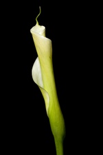 Enlarge photo 21