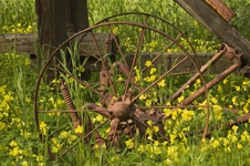 Enlarge photo 20