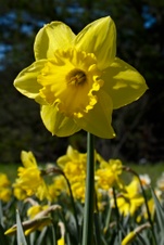 Enlarge photo 55