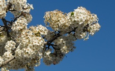 Enlarge photo 36