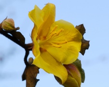 Enlarge photo 64