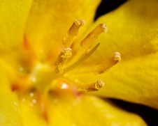 Enlarge photo 63