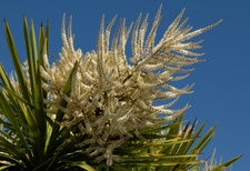 Enlarge photo 78