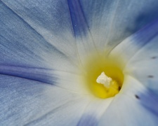 Enlarge photo 115