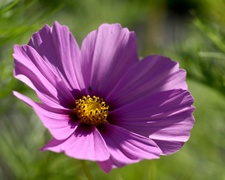 Enlarge photo 118