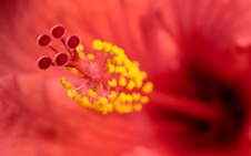 Enlarge photo 123