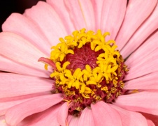 Enlarge photo 119